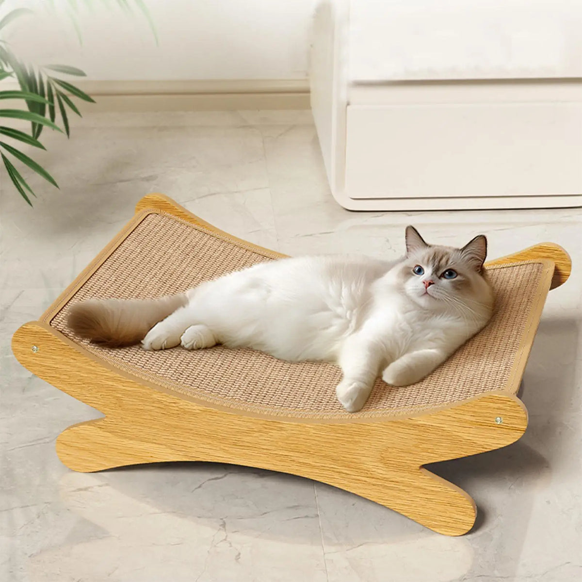 Cat lounging on the Curl wooden scratch lounge