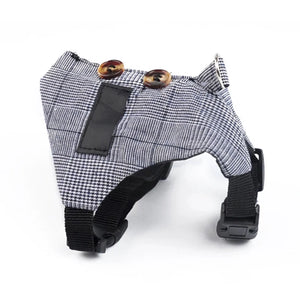 Mini Harness «Wander» in the Yellow Pineapple print — harness and leash set