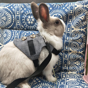 Mini Harness «Wander» in the Navy Stars print — harness and leash set
