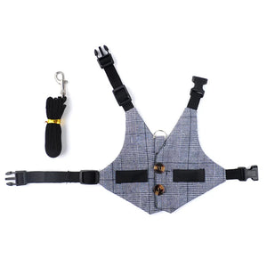 Mini Harness «Wander» — kitten wearing the harness