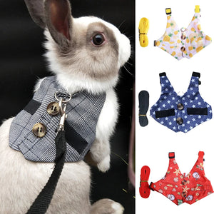 Mini Harness «Wander» in the Pink Peach print — harness and leash set