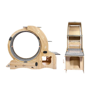 Marathon cat wheel with scratching accessory