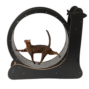 Cat Exercise Wheel «Sprint» Black — cat running on the carpeted runway