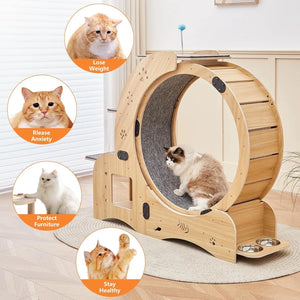 Marathon cat exercise wheel in a living room