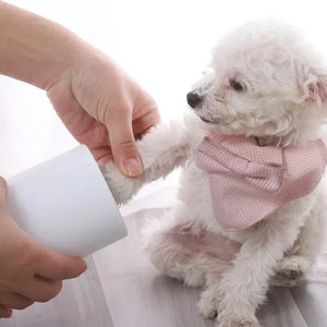 Splash paw washer cleaning a dog paw