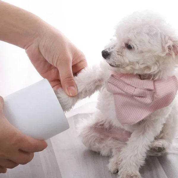 Splash paw washer cleaning a dog paw
