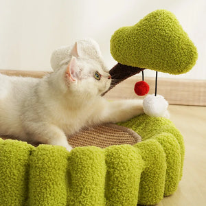 Cat playing at the Scratch Nest Siesta, close-up