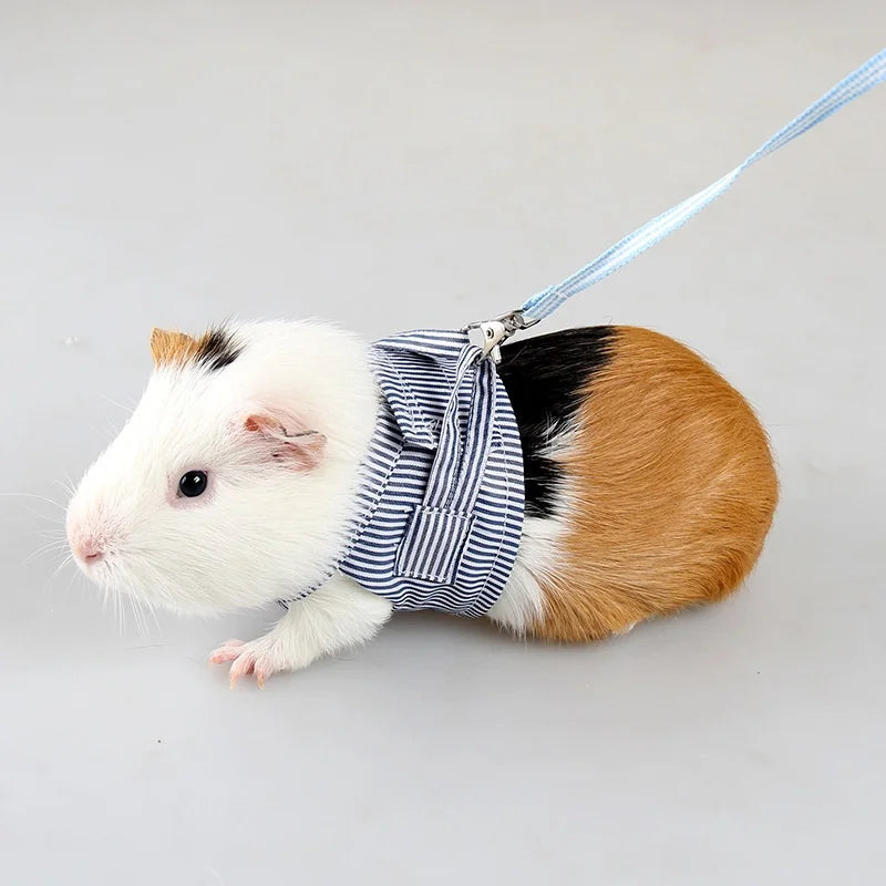 Harness Vest «Scout» in blue — small pet vest harness with leash