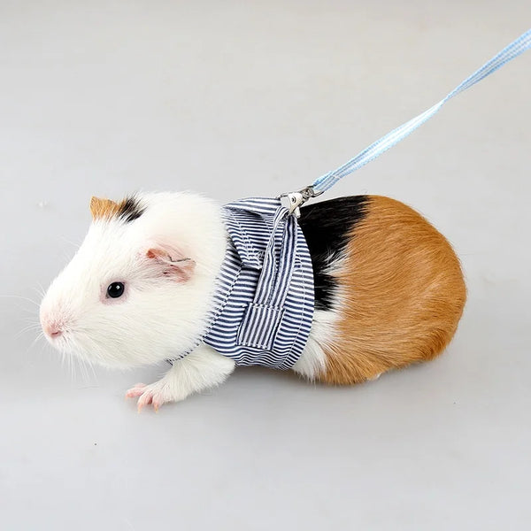 Harness Vest «Scout» in blue — small pet vest harness with leash