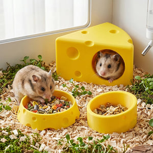 Cheese Hideout «Gouda» set A — hideout and matching bowls