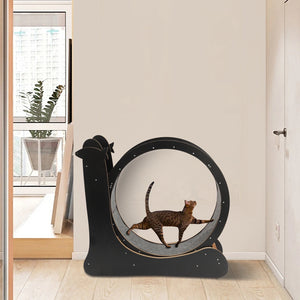 Cat Exercise Wheel «Sprint» Black — detail of the base and stand