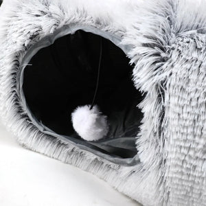 Cat exploring the Nest bed in tunnel mode