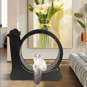Cat Exercise Wheel «Sprint» Black — close-up of the carpeted running surface