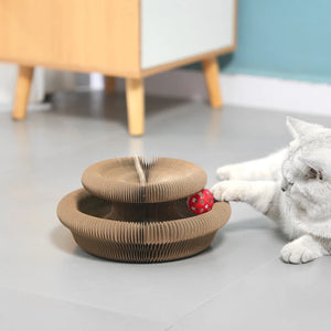 Cat batting the Twist accordion scratcher at home