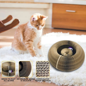 Cat playing with the Twist accordion scratcher