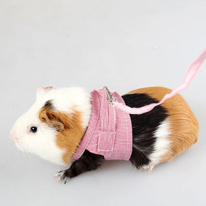 Harness Vest «Scout» in pink — small pet vest harness with leash