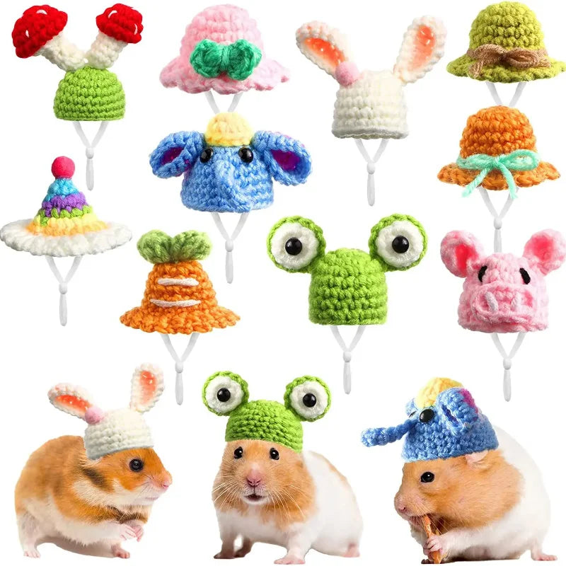 Mini Knitted Hat «Beanie» — hand-knitted mini beanie on a small pet